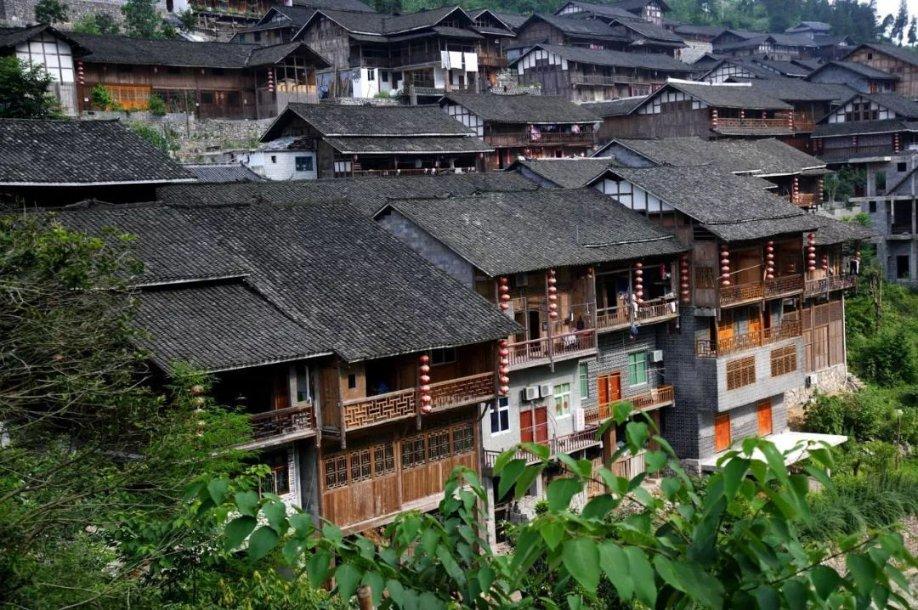 虫虫助手下载